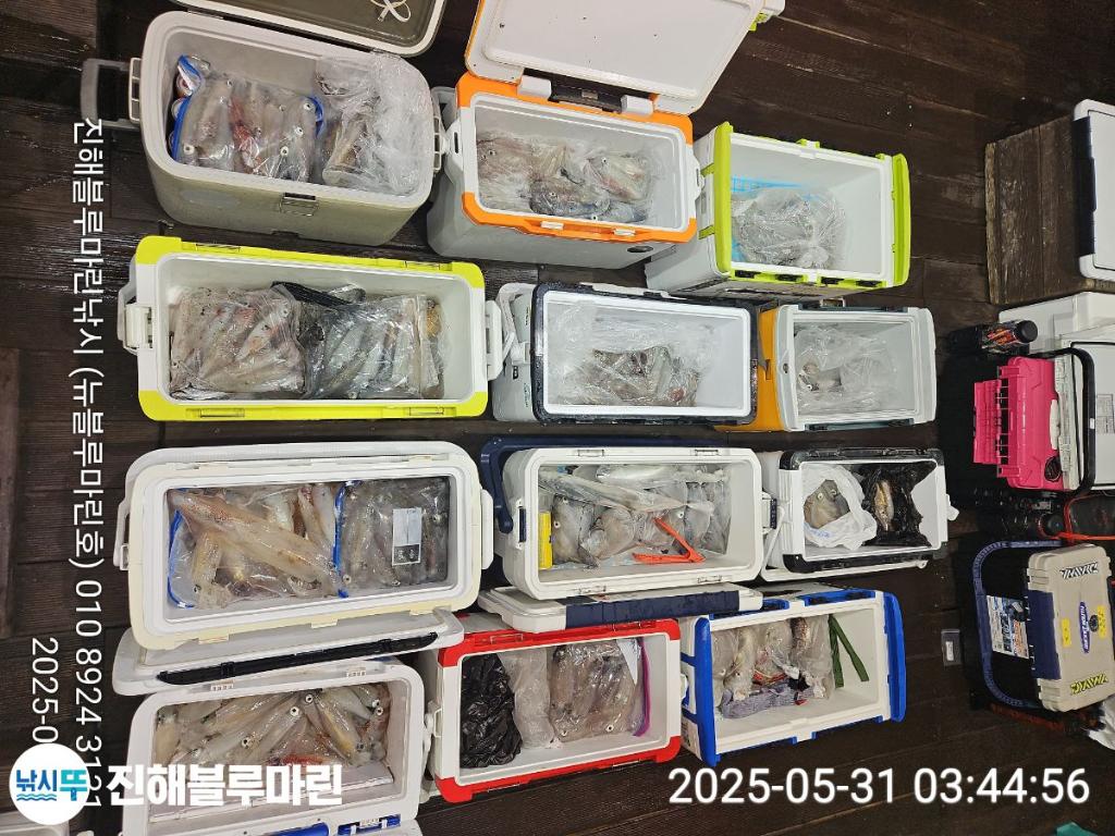 F26870852P.jpg