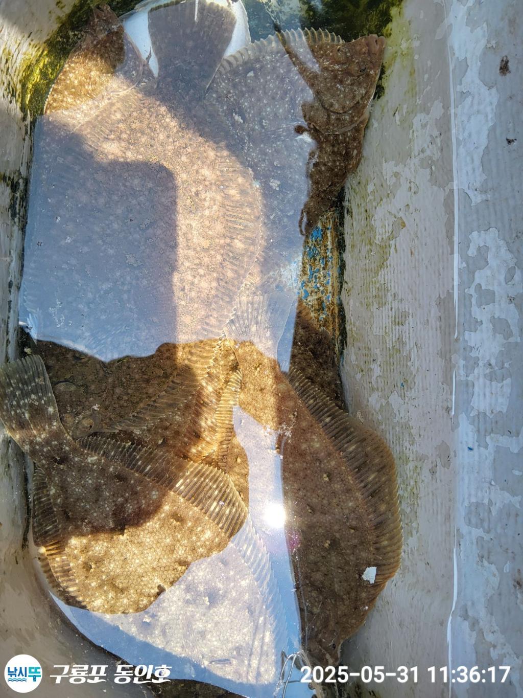 F268710070.jpg