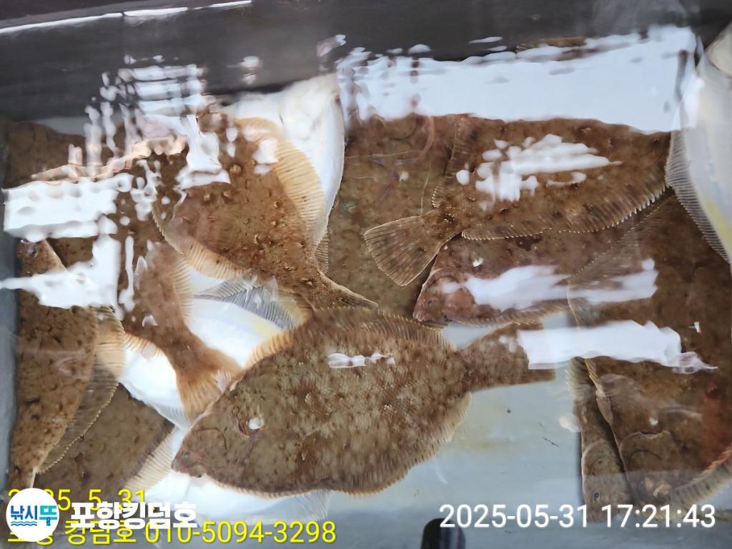 F2687179VT.jpg