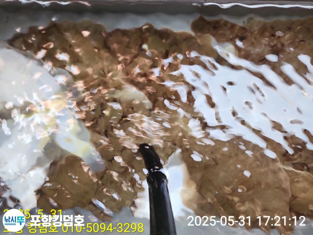 F2687181TN.jpg
