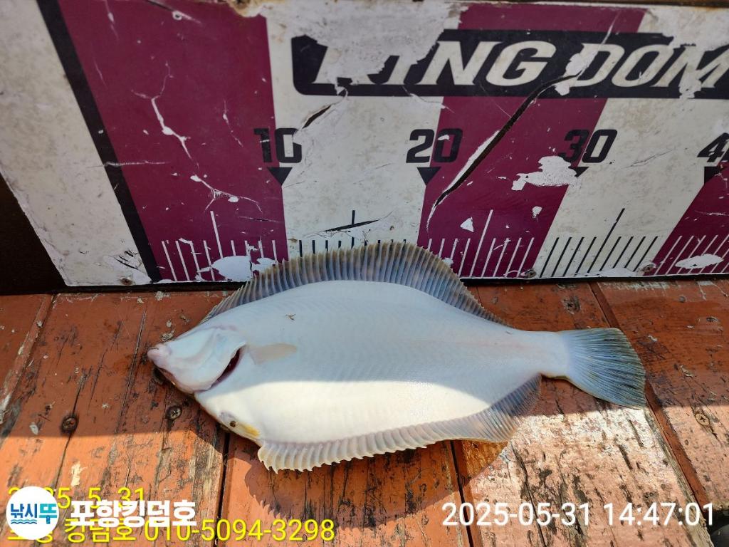 F2687208HZ.jpg
