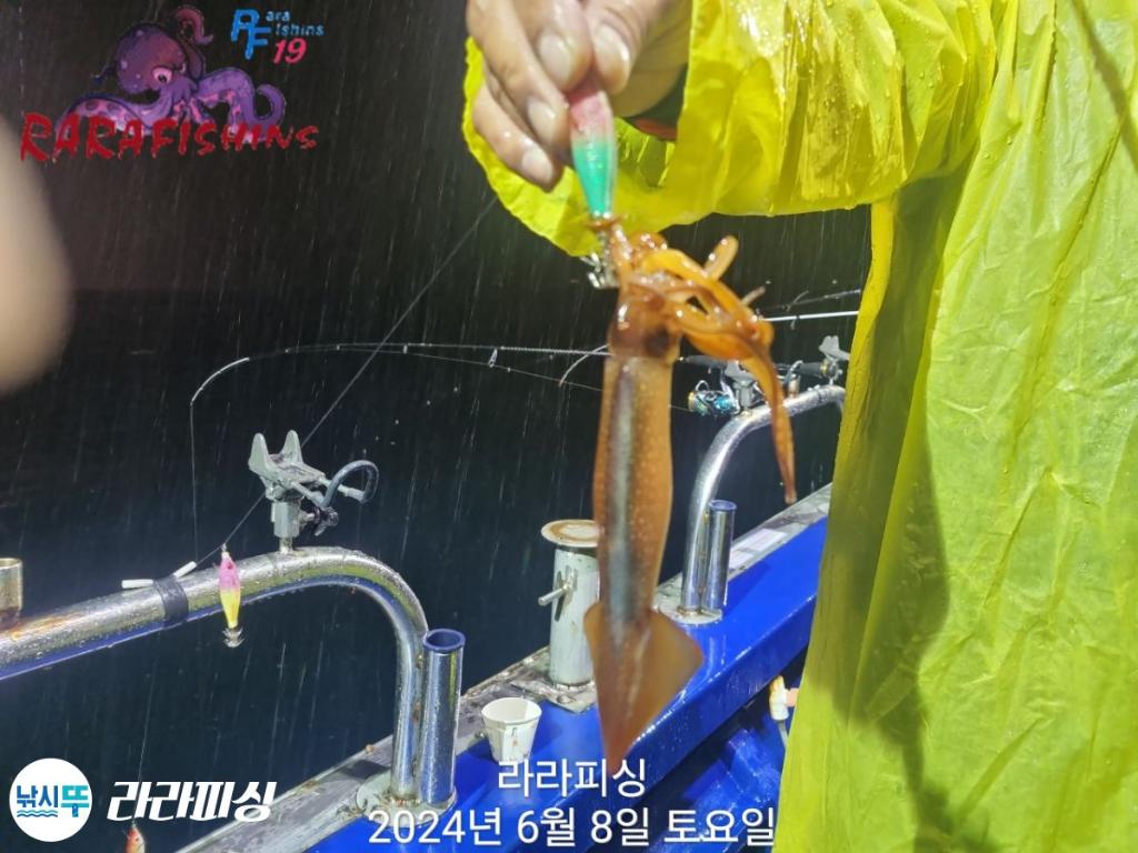 F2687273LD.jpg