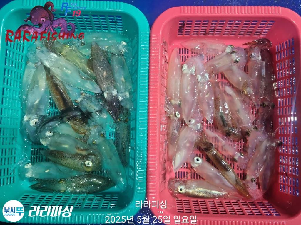 F2687342BI.jpg
