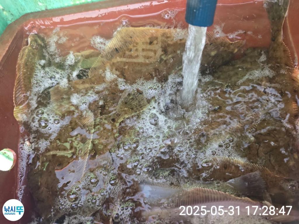 F2687377V2.jpg