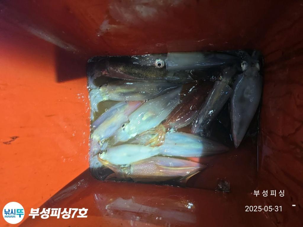 F26874843Z.jpg