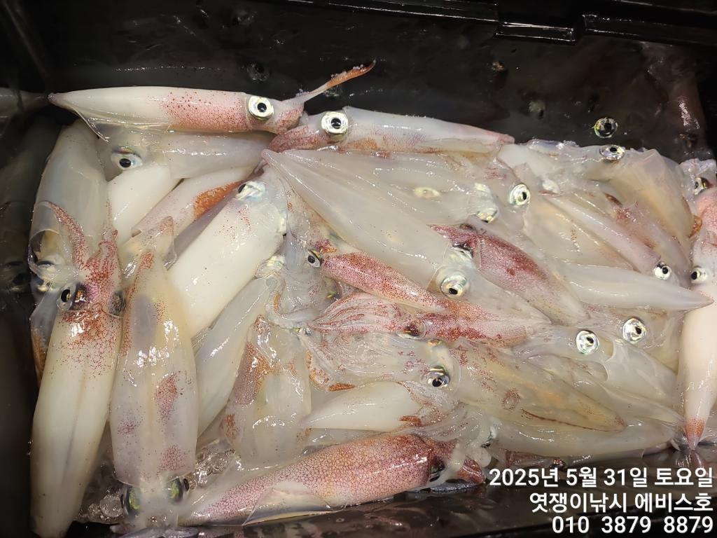 F26877221U.jpg