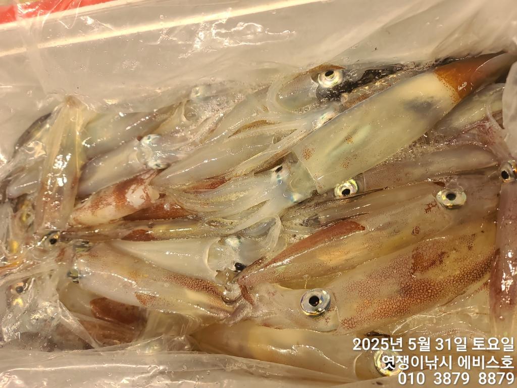 F26877290L.jpg