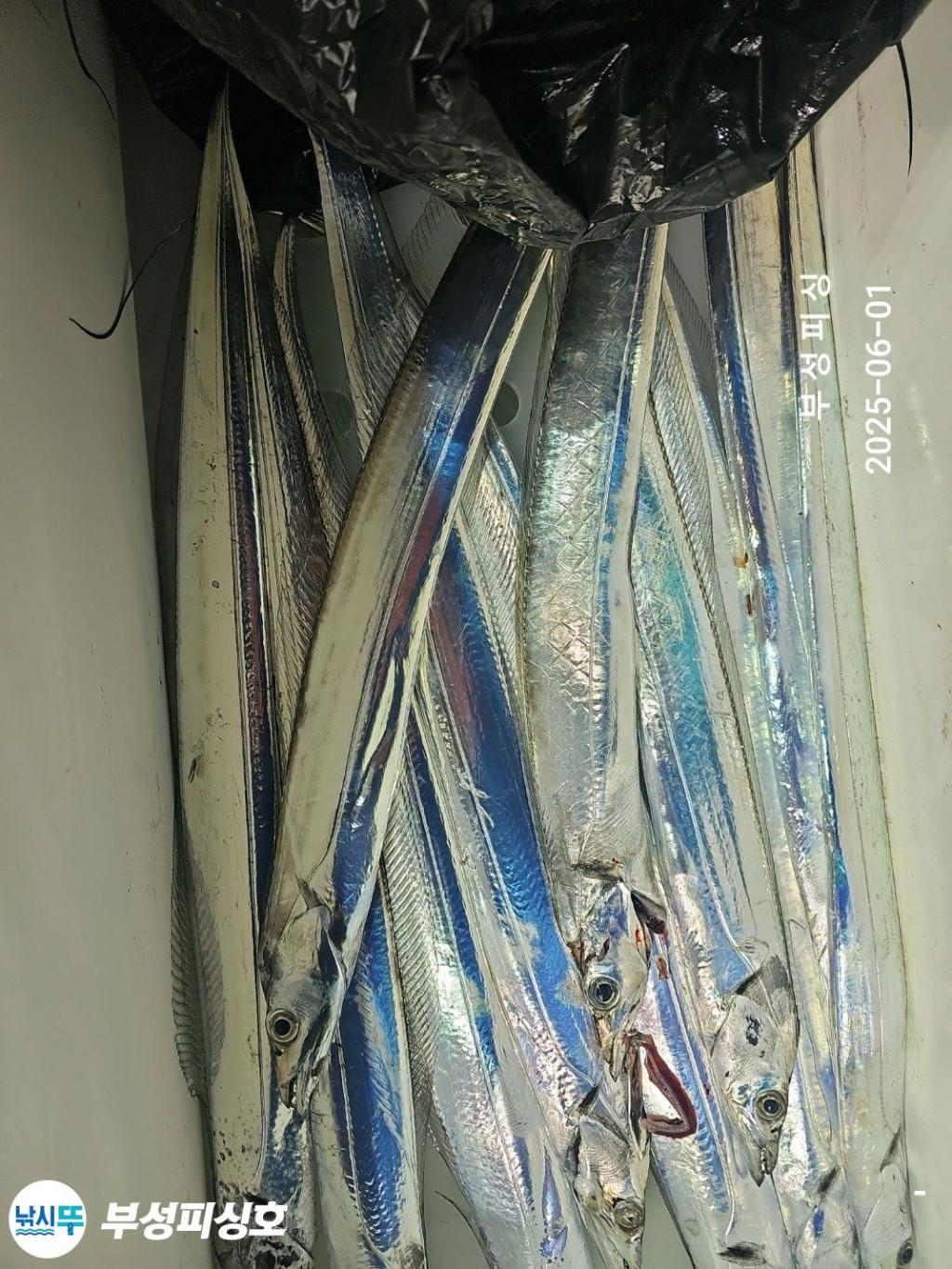 F268779333.jpg
