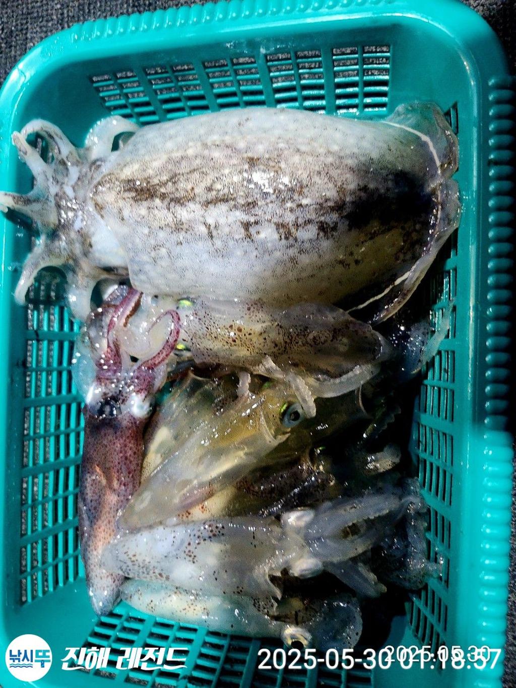 F2687973U0.jpg