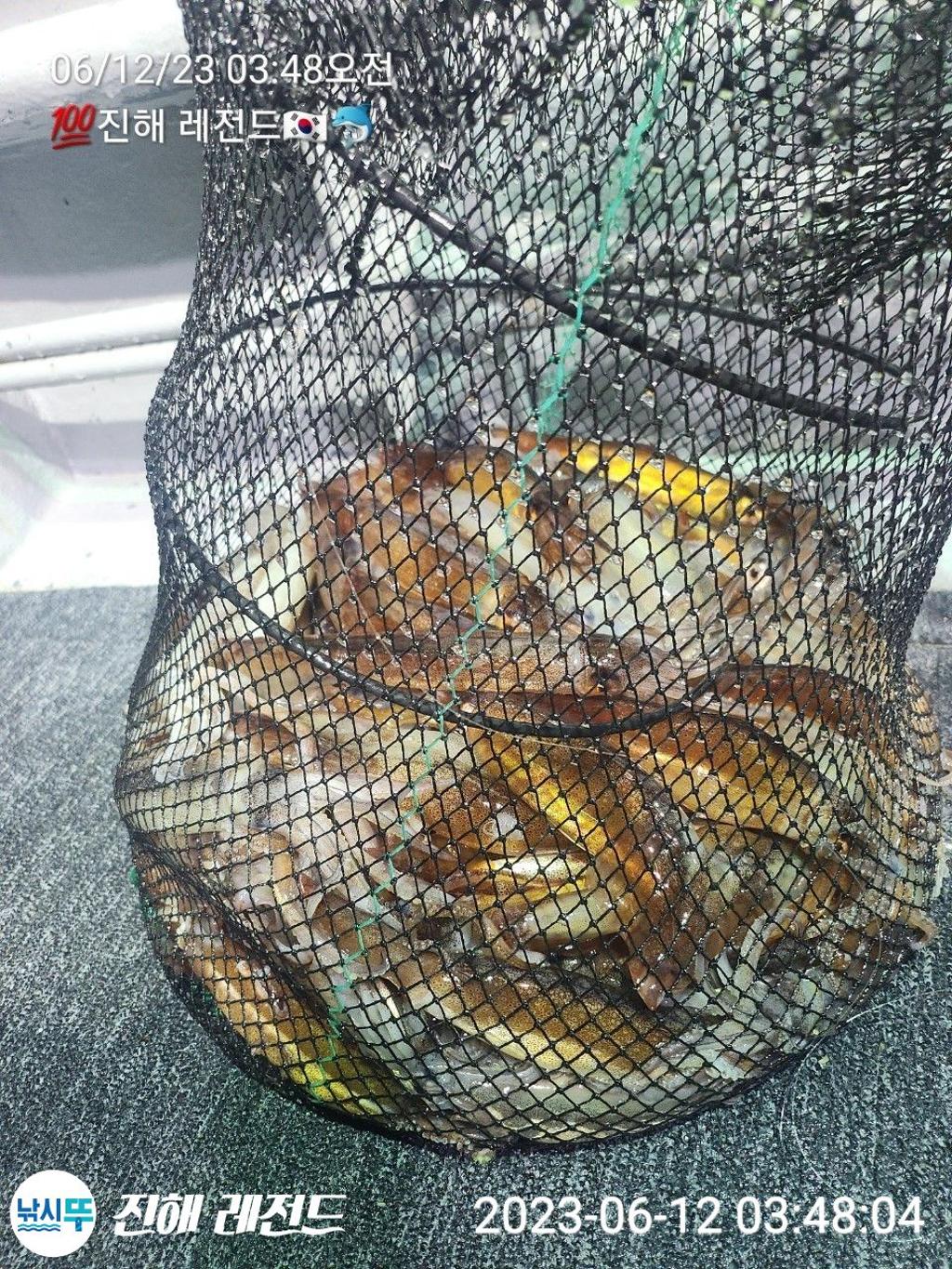 F2687976OG.jpg