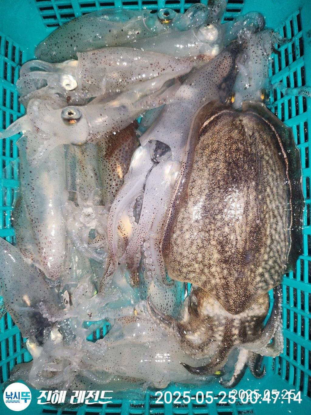 F26879809P.jpg