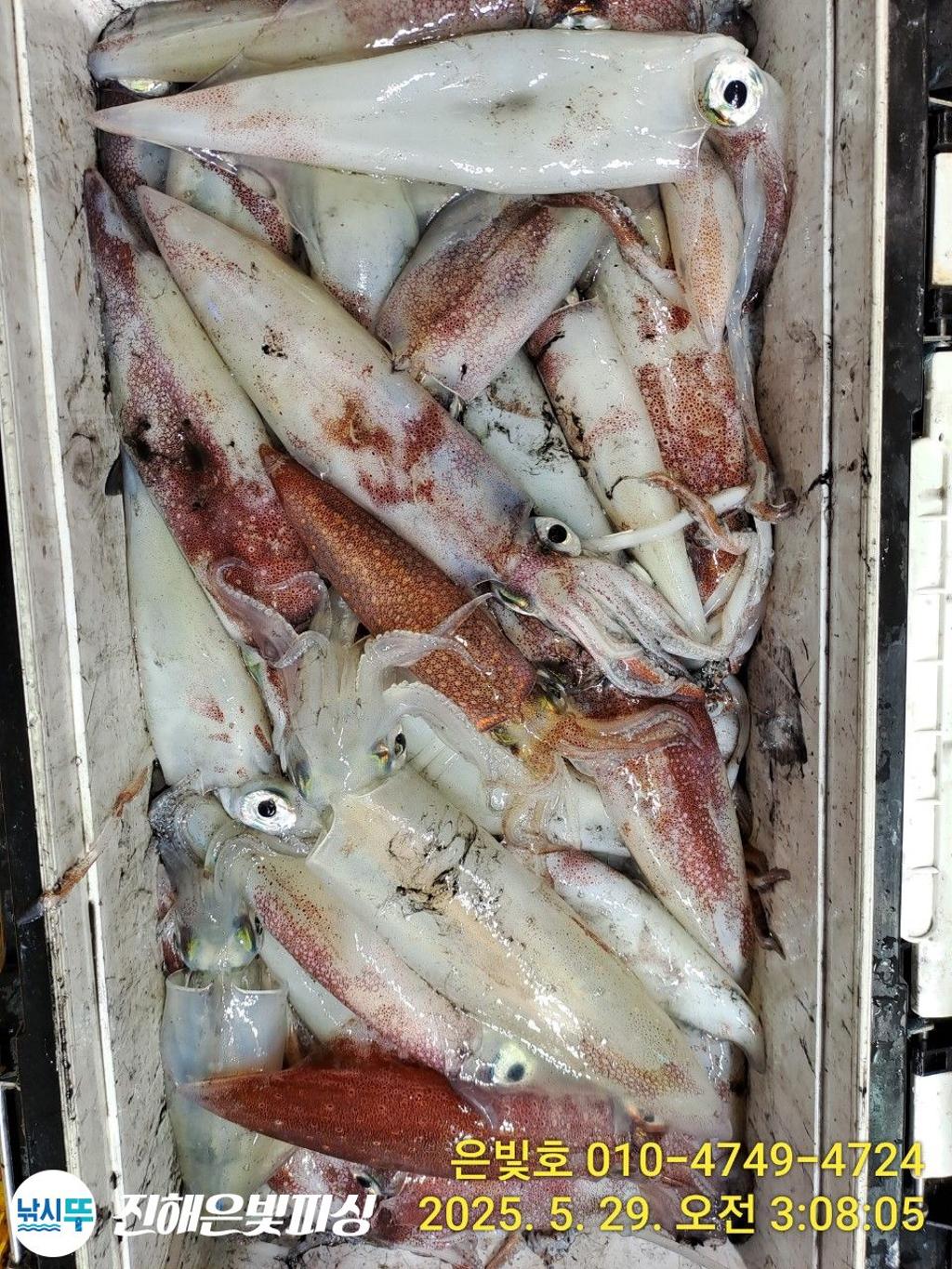 F26880854P.jpg