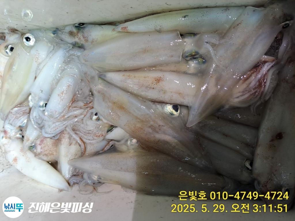 F2688092YX.jpg