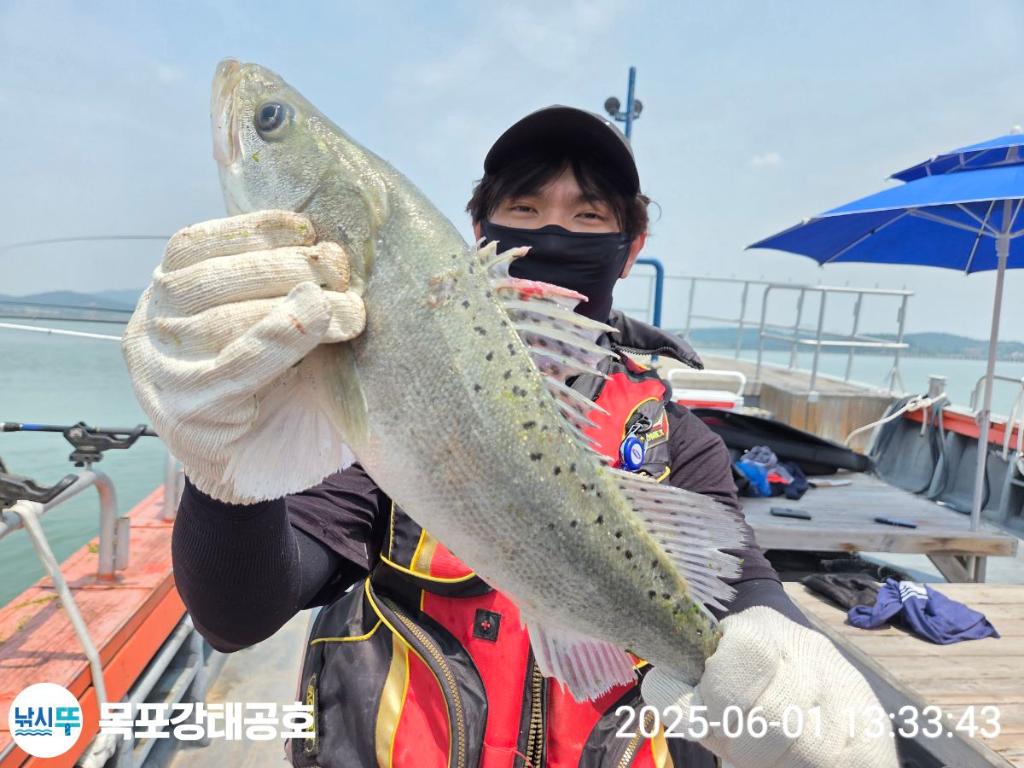 F2688187SC.jpg