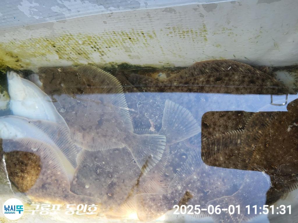 F2688250WU.jpg