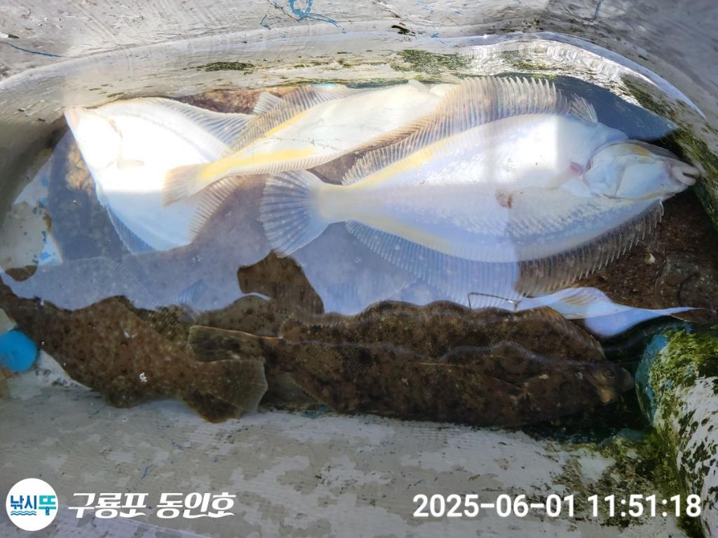 F2688252VQ.jpg