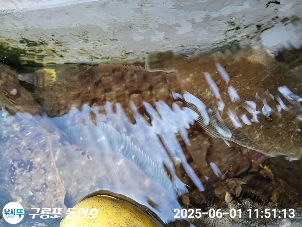 F2688253DH.jpg