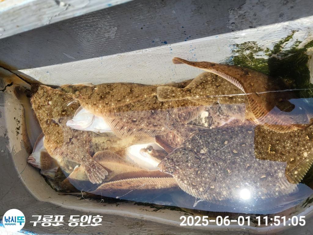 F2688254W7.jpg