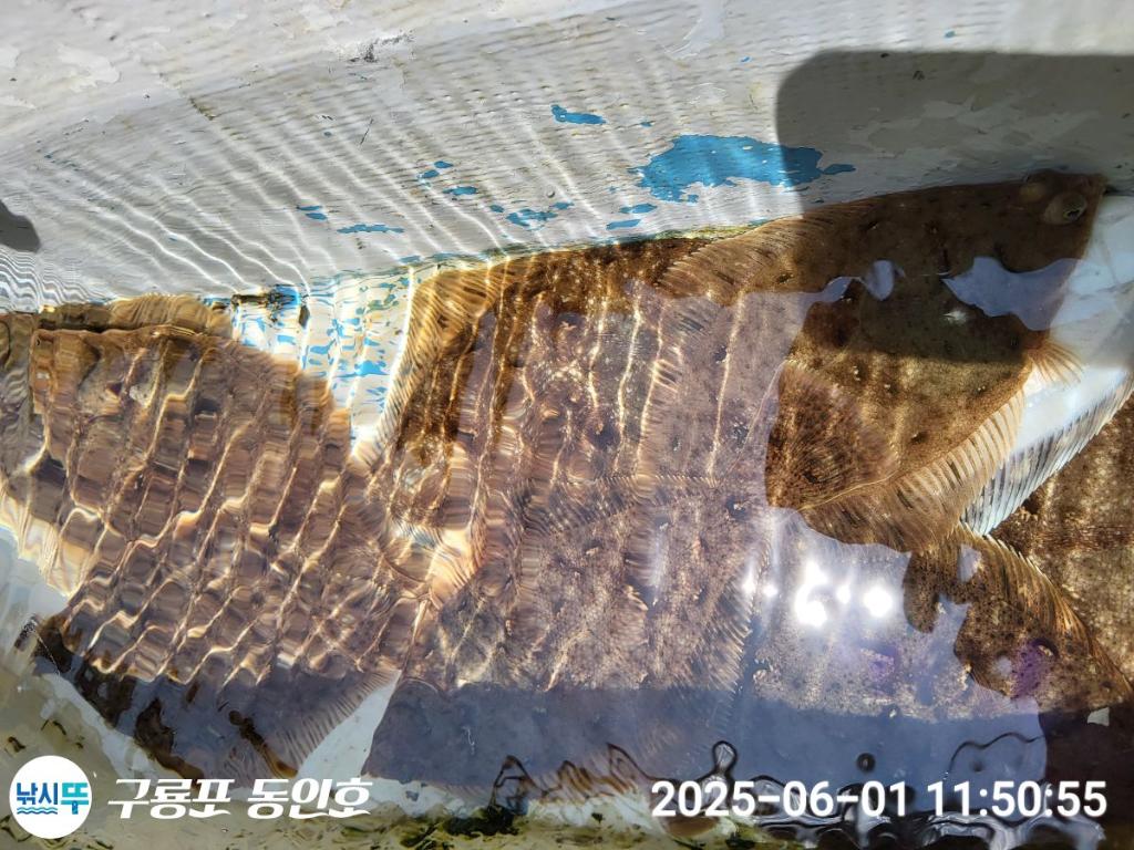 F2688256B4.jpg
