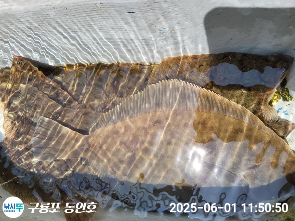F2688257KP.jpg