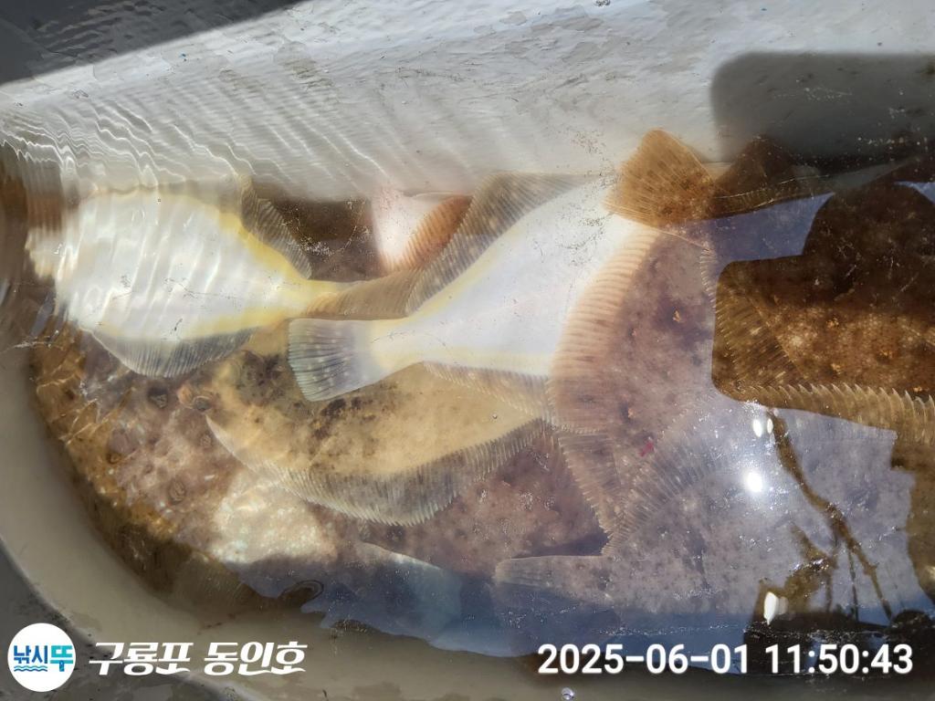F2688258WC.jpg