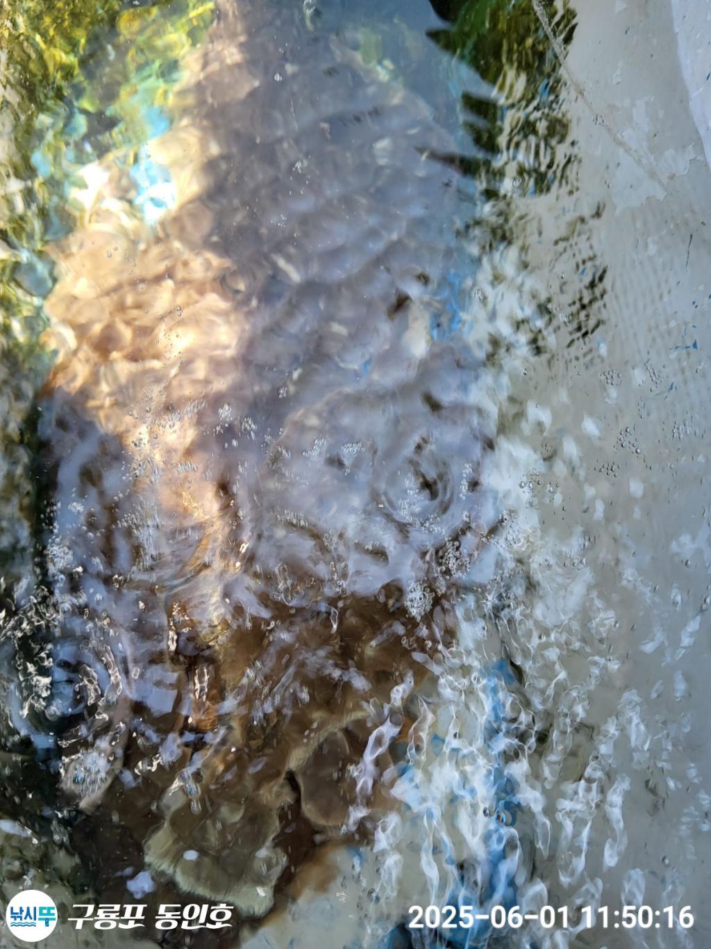 F2688262N2.jpg