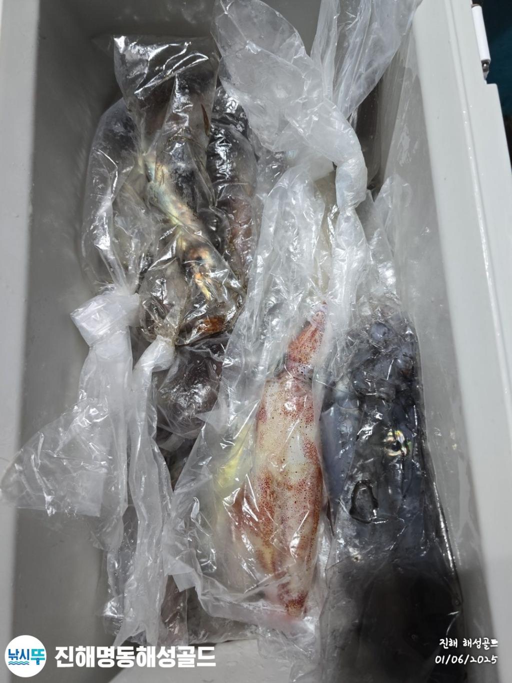 F2688323S0.jpg