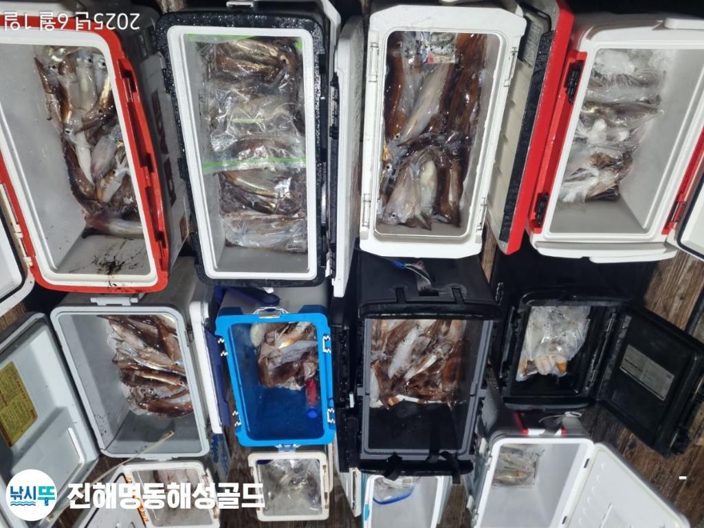 F2688337UO.jpg