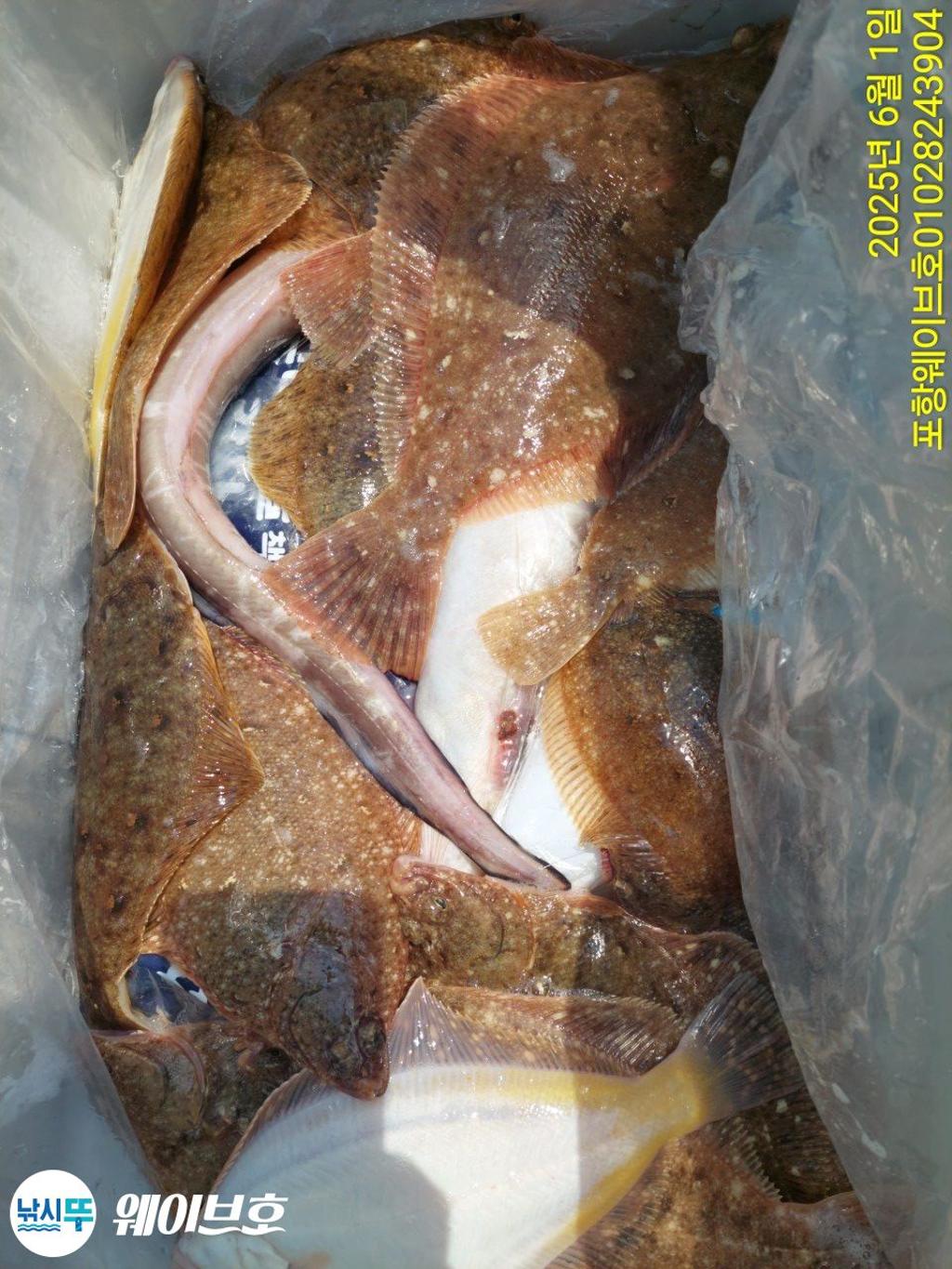 F268838779.jpg