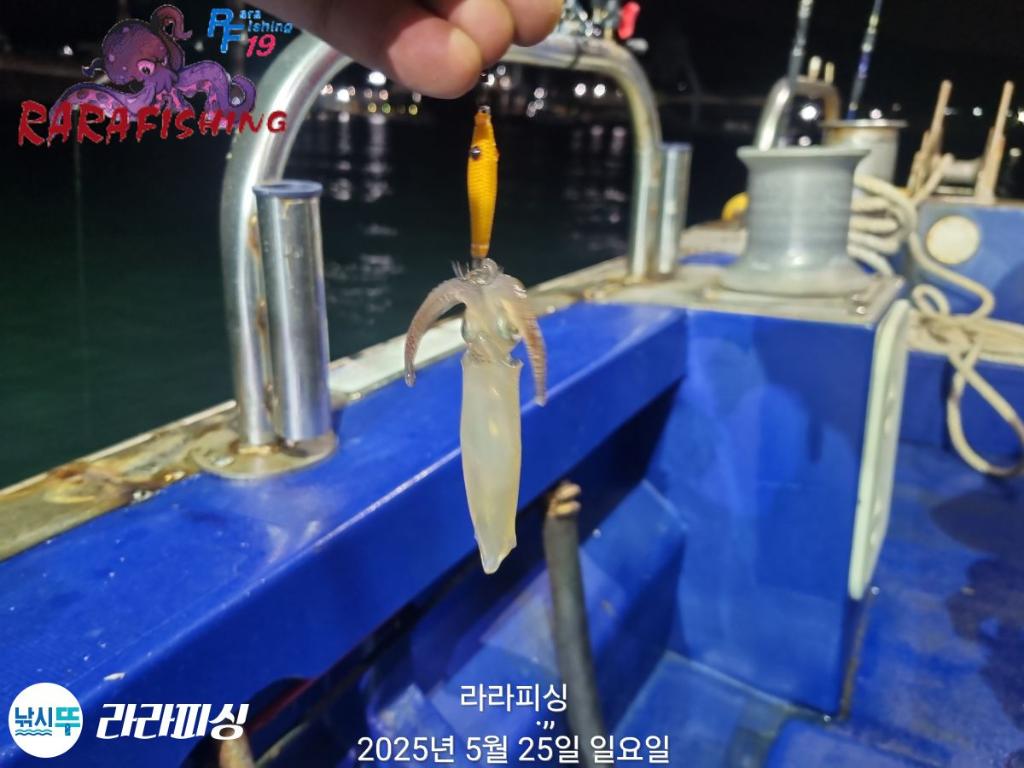 F2688428MA.jpg