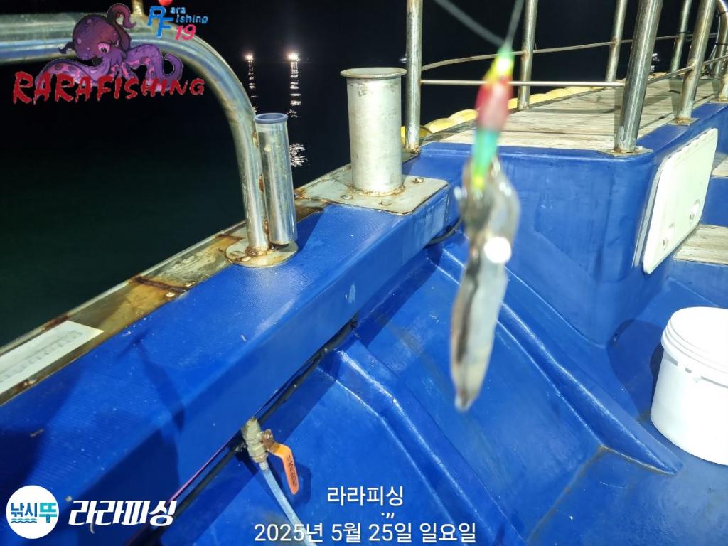 F2688429ZN.jpg
