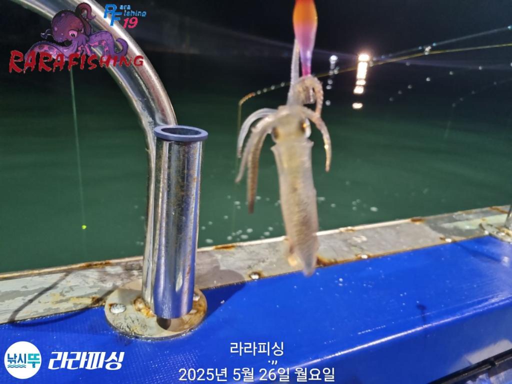 F2688434WV.jpg