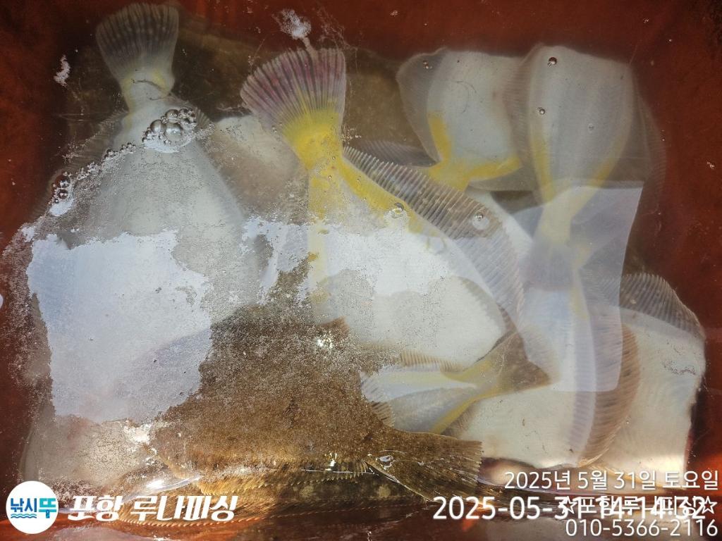 F2688442KE.jpg