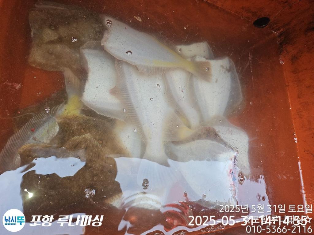 F2688443AY.jpg