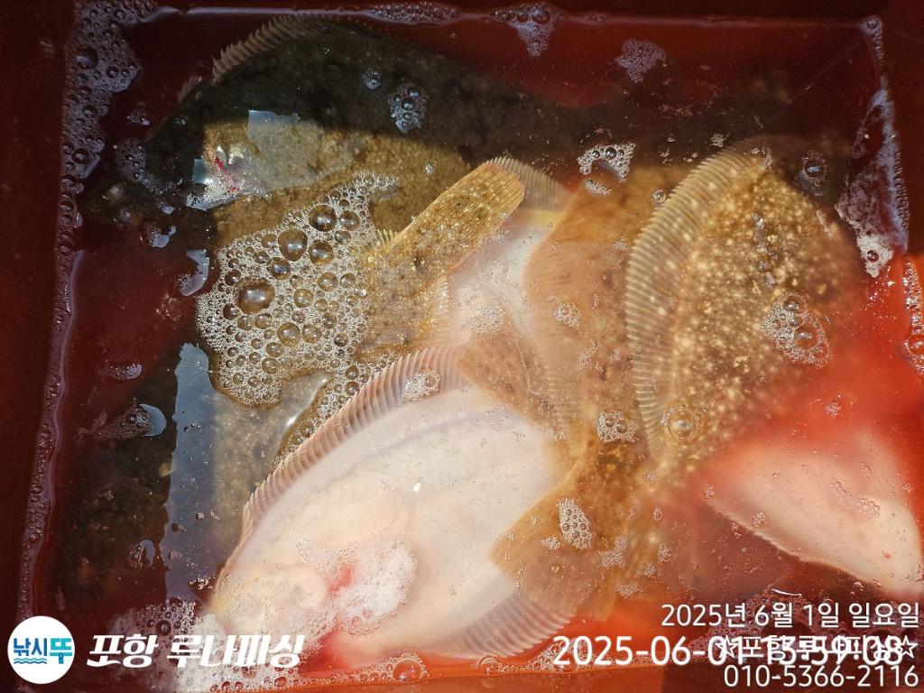 F2688449GC.jpg