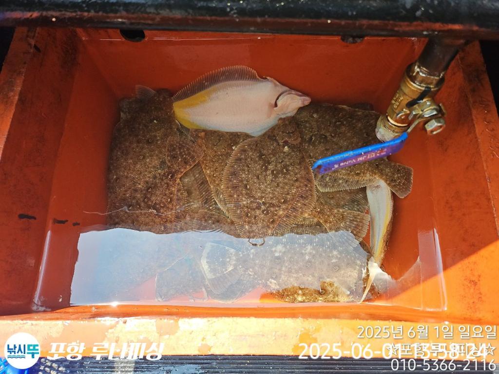 F26884528Y.jpg