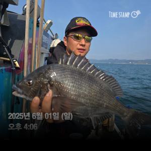 조황, 감성돔 과 벵에돔 선상조황