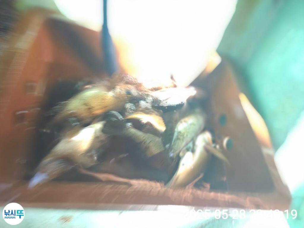 F2688805R2.jpg