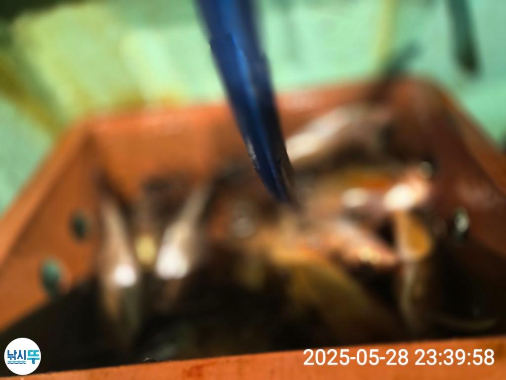 F26888078K.jpg