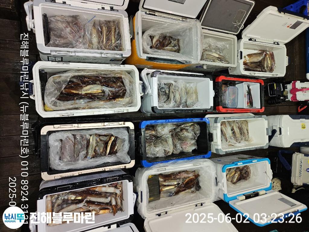 낚시뚜,한치,오징어,진해수도항,진해블루마린낚시,낚시뚜6