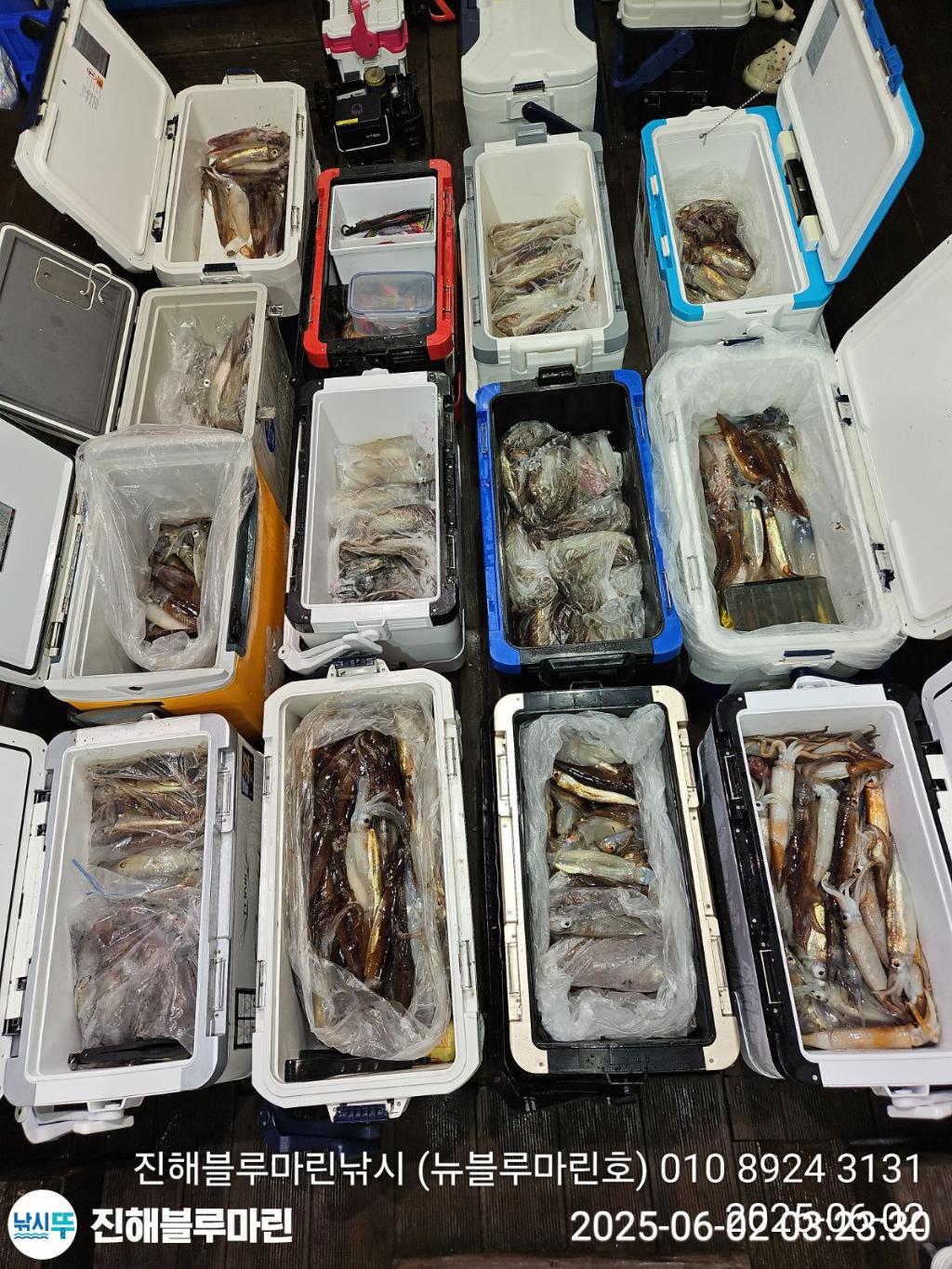낚시뚜,한치,오징어,진해수도항,진해블루마린낚시,낚시뚜3
