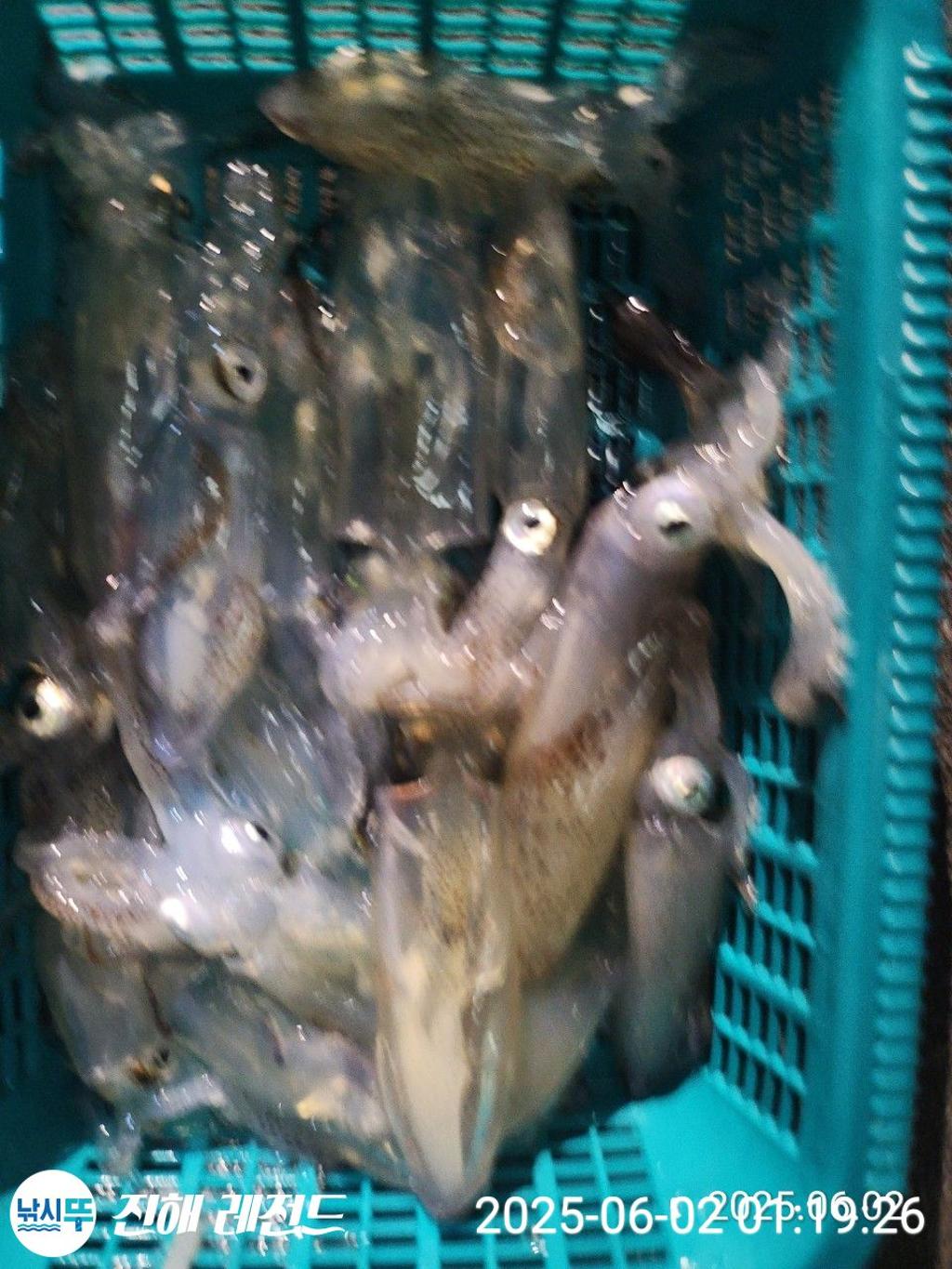 F268913953.jpg