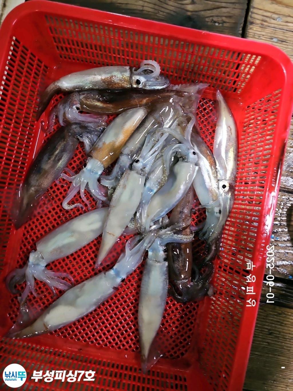 F26892063Y.jpg
