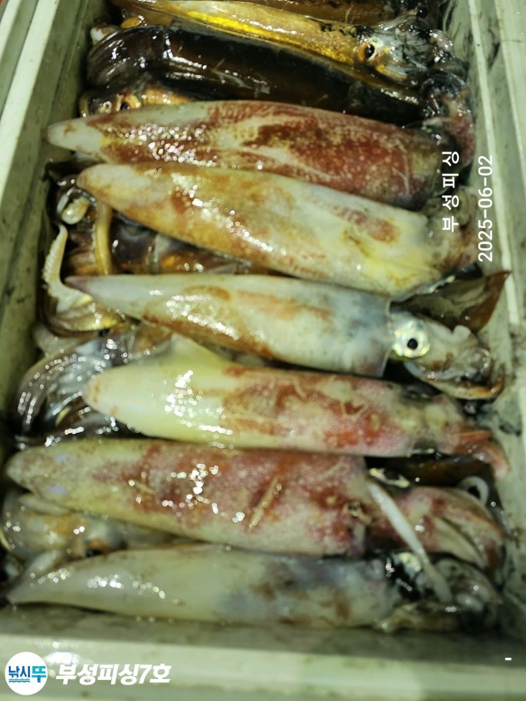 F2689209C1.jpg