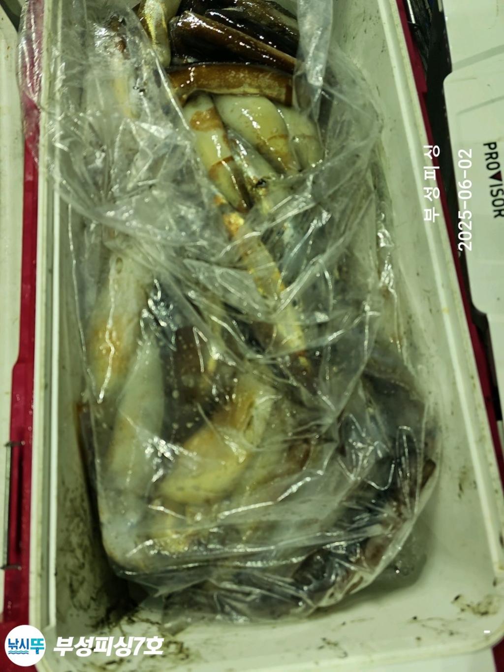 F2689210OS.jpg