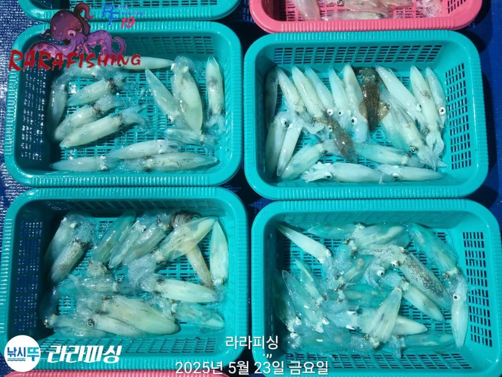 F2689321OS.jpg