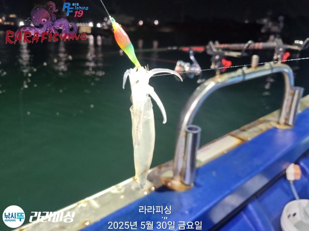 F2689348YO.jpg