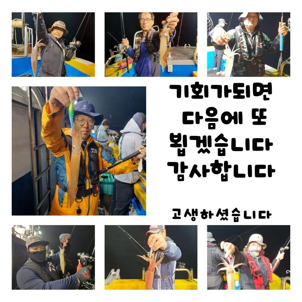 낚시뚜,한치,오징어,진해수도항,진해블루마린낚시,낚시뚜14
