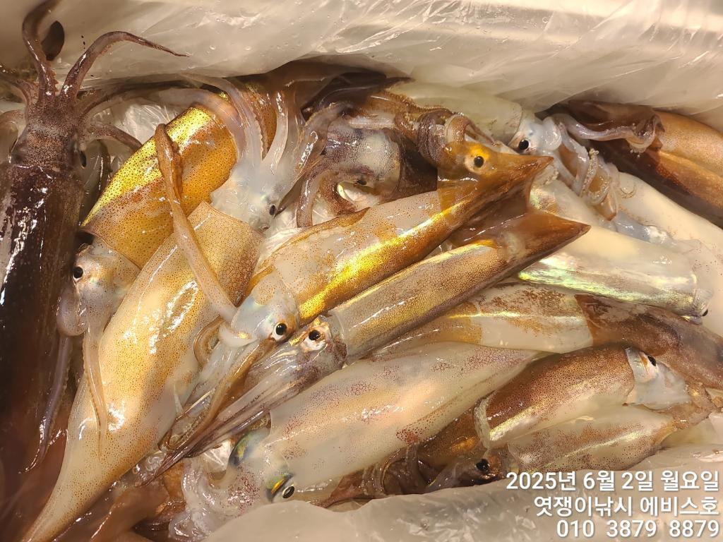 F2688944YL.jpg