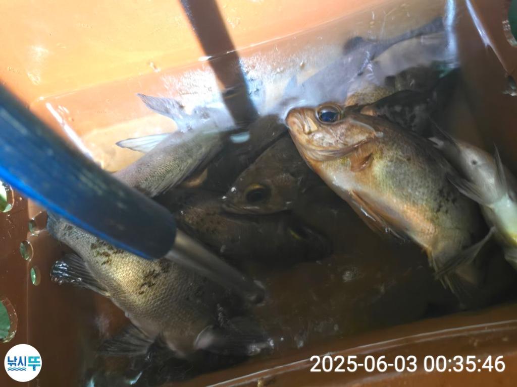 F26895671F.jpg